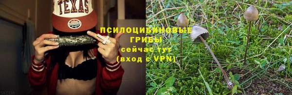 spice Алексеевка